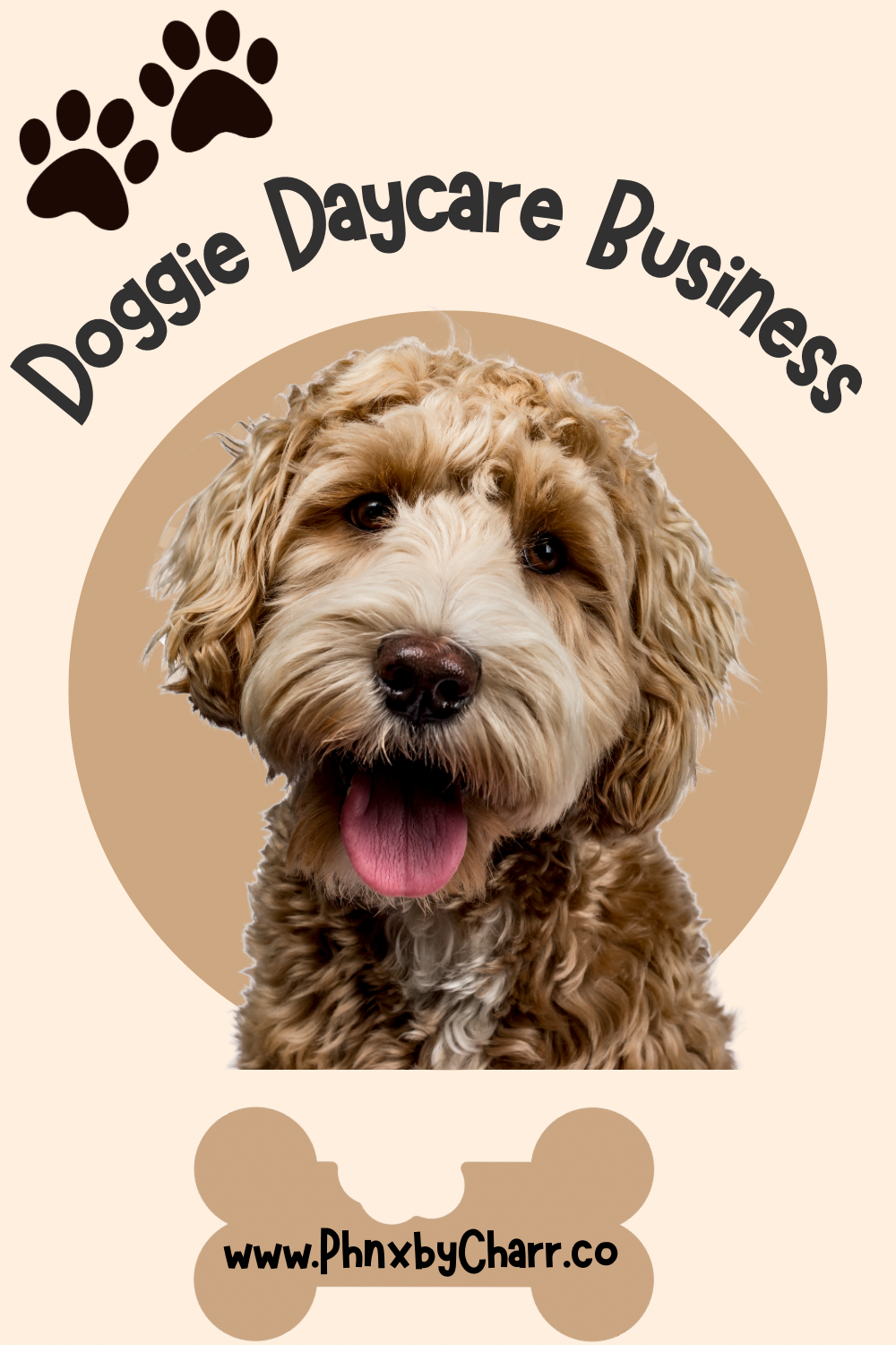 How to Start a Doggie Daycare Business from Scratch