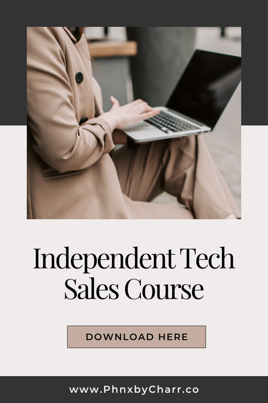 How to Start an Independent Tech Sales Business | Work From Home & Earn High Commissions